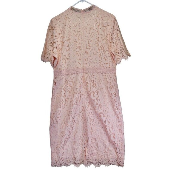 Rachel Parcell Pink Lace Sheath Dress Size XL Romantic Spring Easter Wedding - Picture 4 of 11